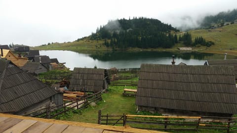 Lake view
