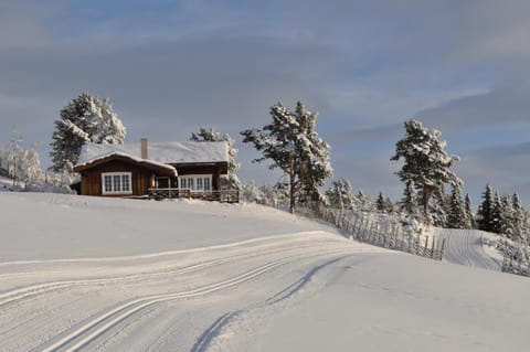 Property building, Winter, Skiing