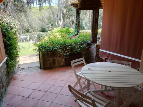 Patio, Garden