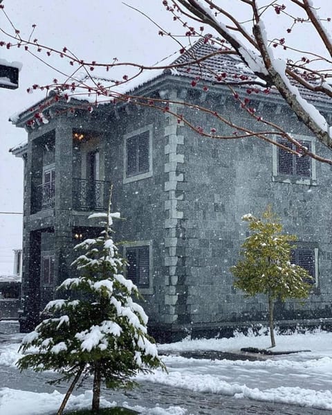 Property building, Winter