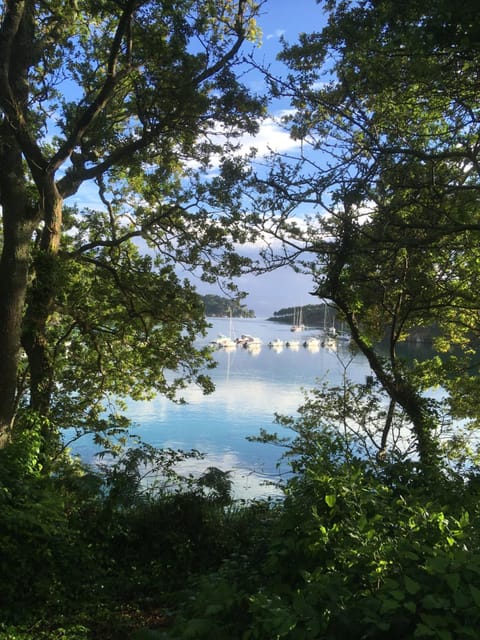 TY Fine Rose House in Finistere