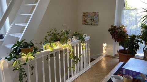 Pokoje Gościnne Hetmanska Vacation rental in Pomeranian Voivodeship