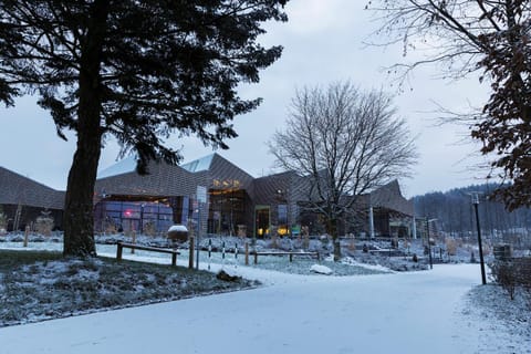 Restaurant/places to eat, Winter