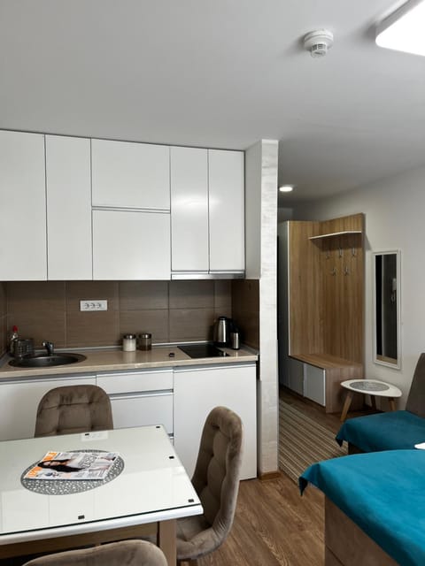 Studio Bogdanovic Apartment in Serbia