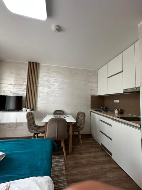 Studio Bogdanovic Apartment in Serbia