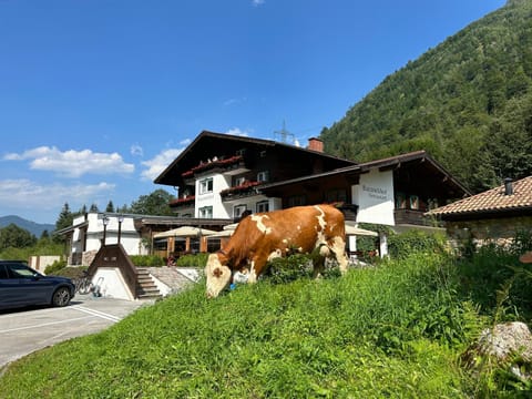 Pension Baranekhof - closest to the Kitzsteinhorn Ski Resort Hotel in Piesendorf