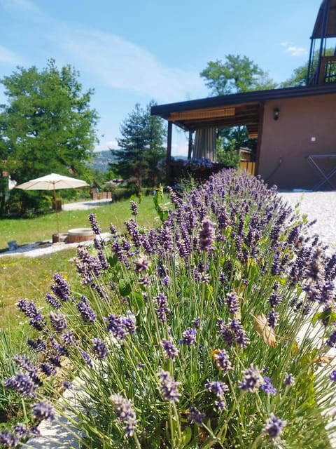 Perla Accommodation Apartment in Federation of Bosnia and Herzegovina