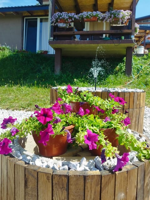 Perla Accommodation Apartment in Federation of Bosnia and Herzegovina