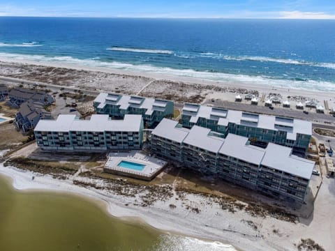 Palm Beach Club 4-127 Parrot-dise Palms Apartment in Pensacola Beach