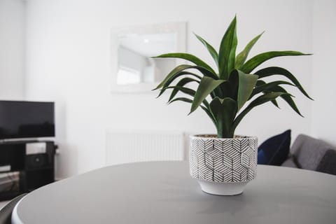 NEW 2BD Pontac Flat in the Heart of Didcot House in Didcot