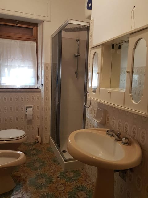 Shower, Toilet, Bathroom, bidet