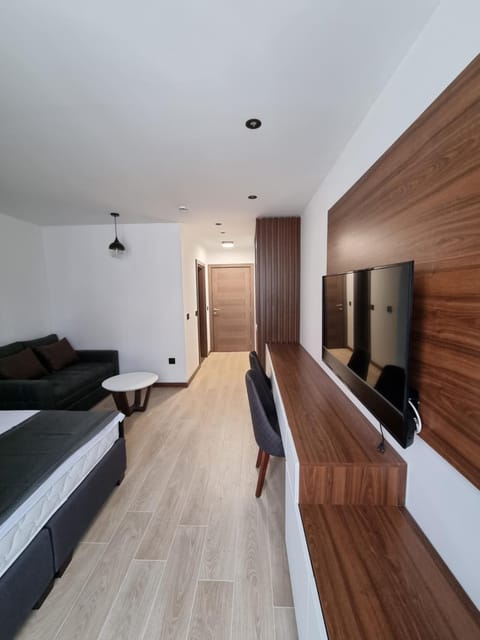 TV and multimedia, Living room, Photo of the whole room, Seating area