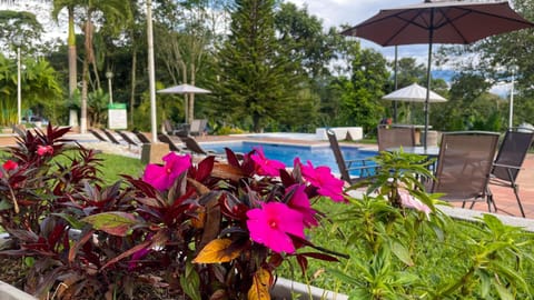 Garden, Garden view, Pool view, Swimming pool
