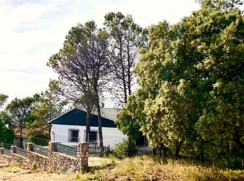 Property building, Facade/entrance, Natural landscape, Garden