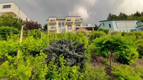 Property building, Spring, Day, Natural landscape, Garden, Garden view