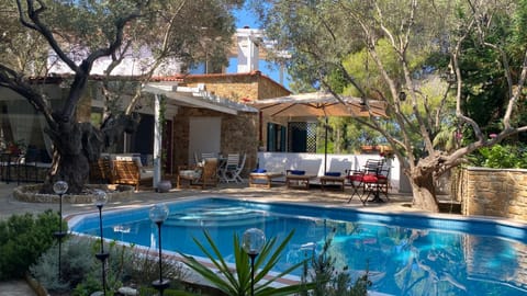Property building, Garden, Garden, Pool view