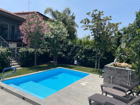Garden, Swimming pool, sunbed