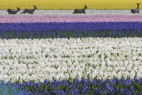 Nearby landmark, View (from property/room)
