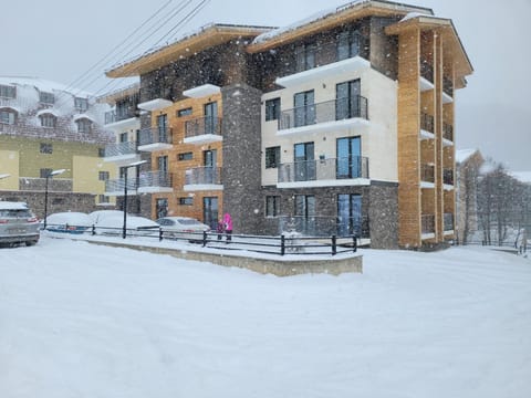 Property building, Facade/entrance, Day, Winter, Street view, Parking