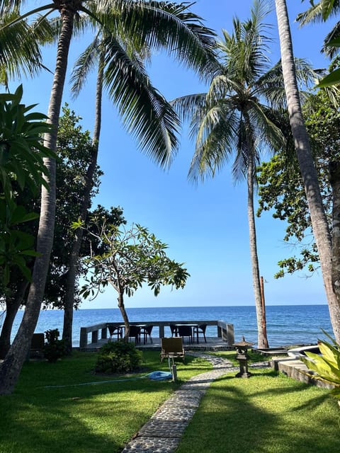Natural landscape, Garden, Garden view, Sea view