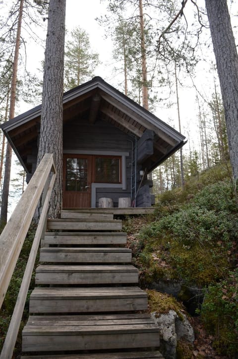 Turjanlinna Chalet in Finland