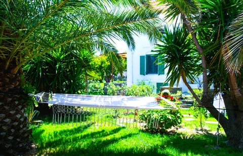 Natural landscape, Garden, Garden