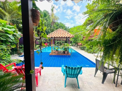 Patio, Day, Natural landscape, Garden, Garden view, Swimming pool, sunbed