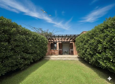Property building, Day, Summer, Garden, View (from property/room), Garden view, Inner courtyard view