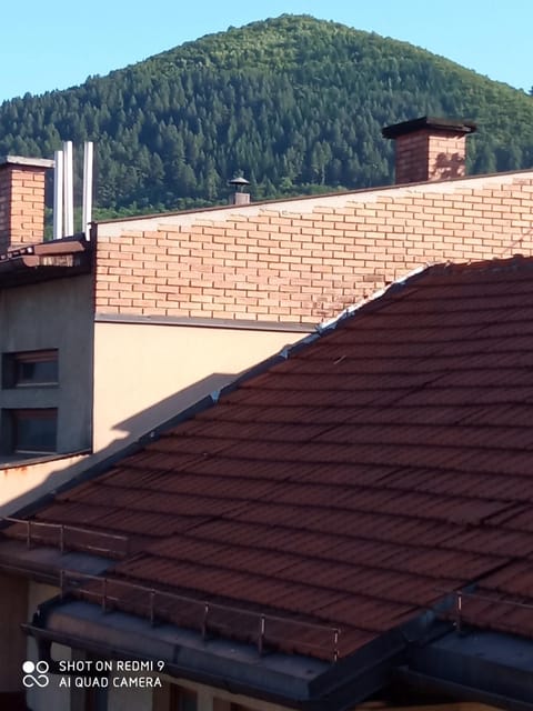 Neighbourhood, View (from property/room)