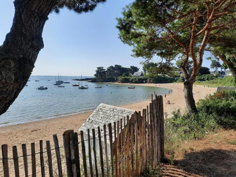 Natural landscape, Beach