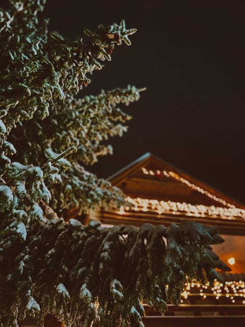 Property building, Night, Natural landscape, Winter