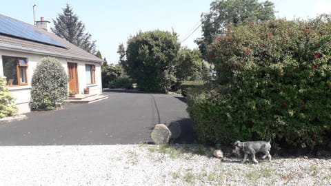 Property building, Facade/entrance, Garden