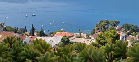 Apartment Buena Vista Apartment in Dubrovnik-Neretva County