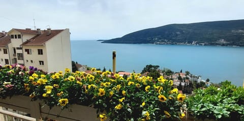 Apartment Buena Vista Apartment in Dubrovnik-Neretva County