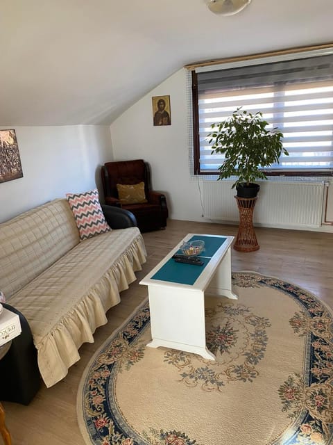 Mićin dom Apartment in Serbia