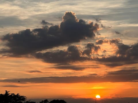 3 Bed Luxury Mobile Home Hoburne Park Christchurch House in Christchurch