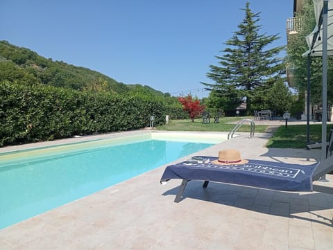 Garden, Swimming pool