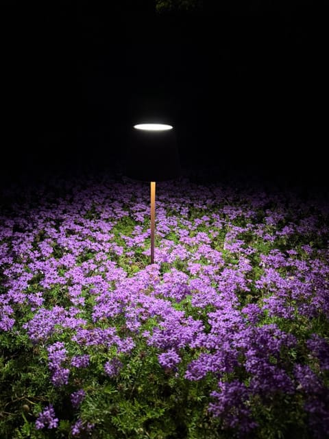 Casale Terre Rosse Garden Bed and Breakfast in Lazio