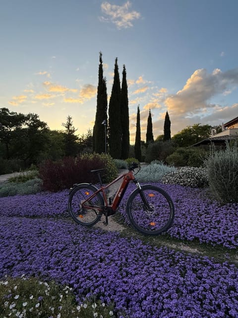 Casale Terre Rosse Garden Bed and Breakfast in Lazio