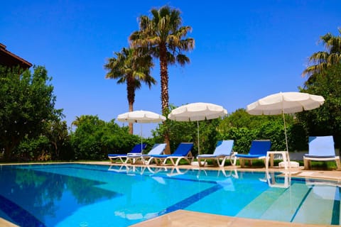 Garden, Swimming pool