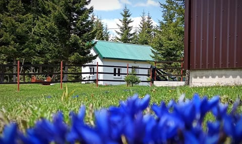 Neighbourhood, Garden