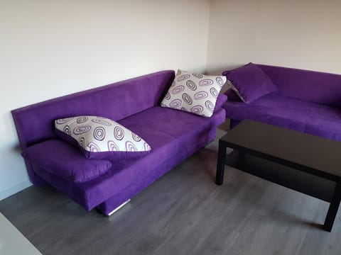 FeWo Untere Ringstrasse 3 Apartment in Schluchsee