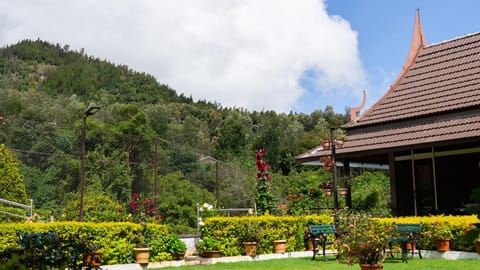 Natural landscape, Garden