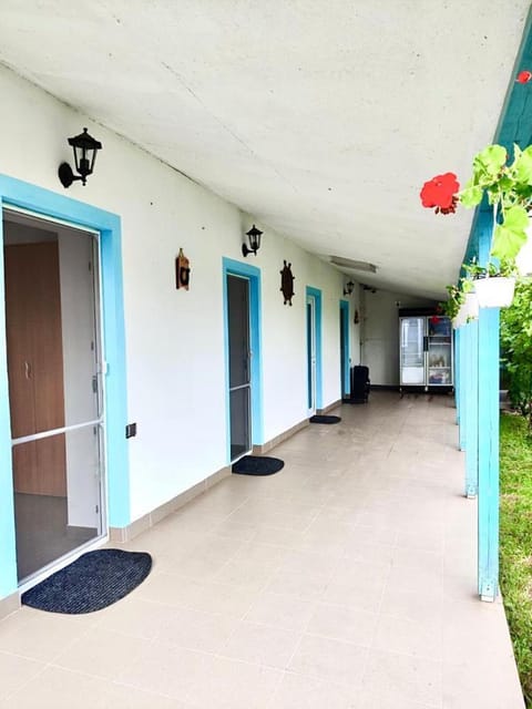 Patio, Facade/entrance