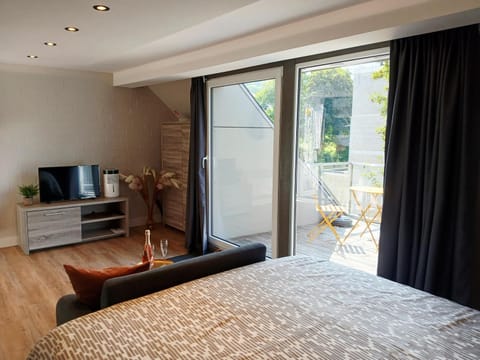 Studio "Coeur du Lac" Apartment in Vielsalm