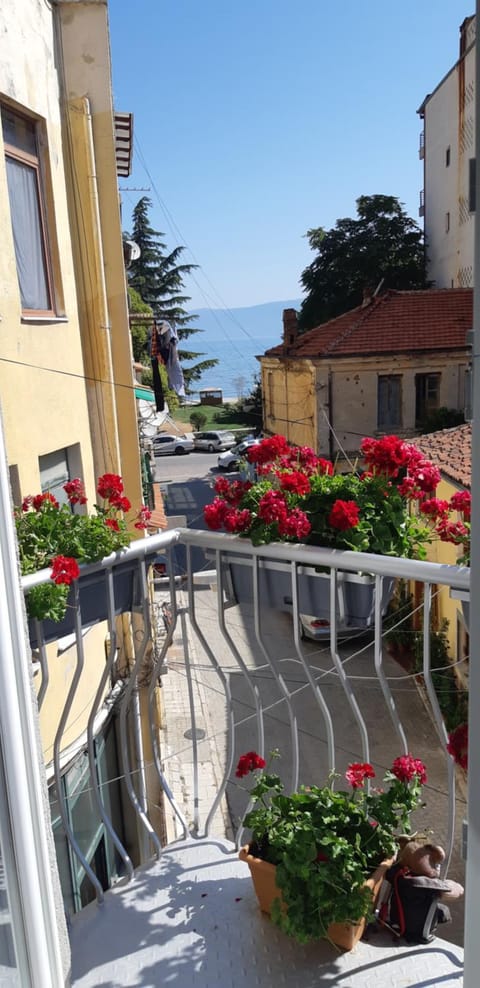 Vila Nikolla Bed and Breakfast in North Macedonia