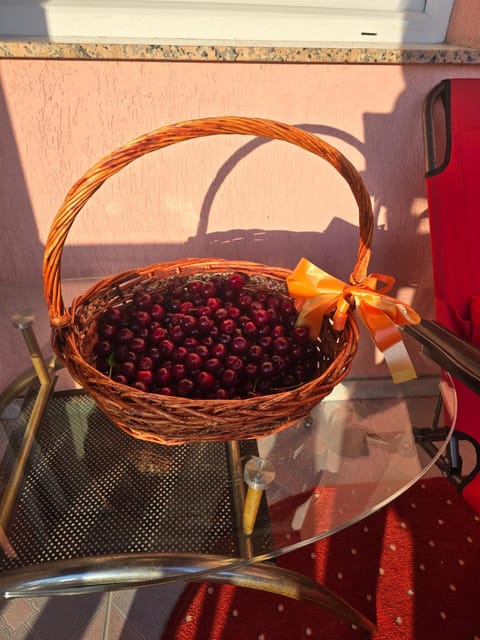 Villa Amir Villa in Sarajevo