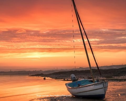 Natural landscape, Beach, Sunset