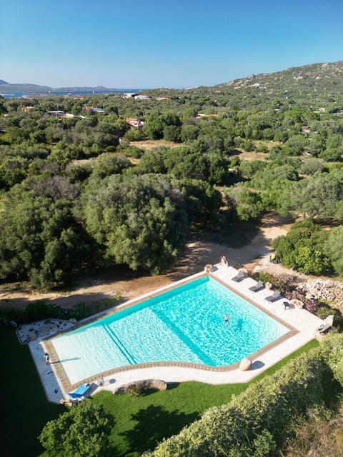 Bird's eye view, Swimming pool