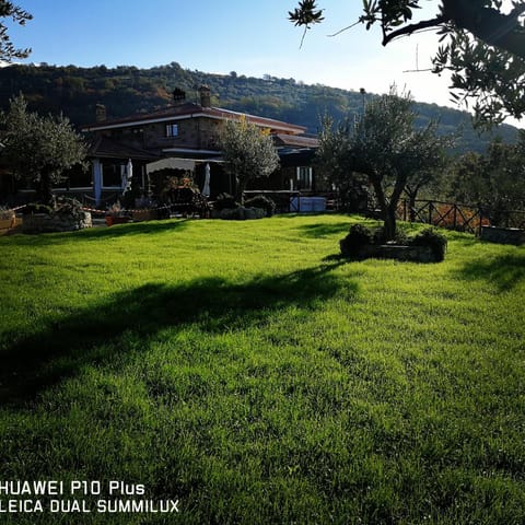 Spring, Garden, Garden view